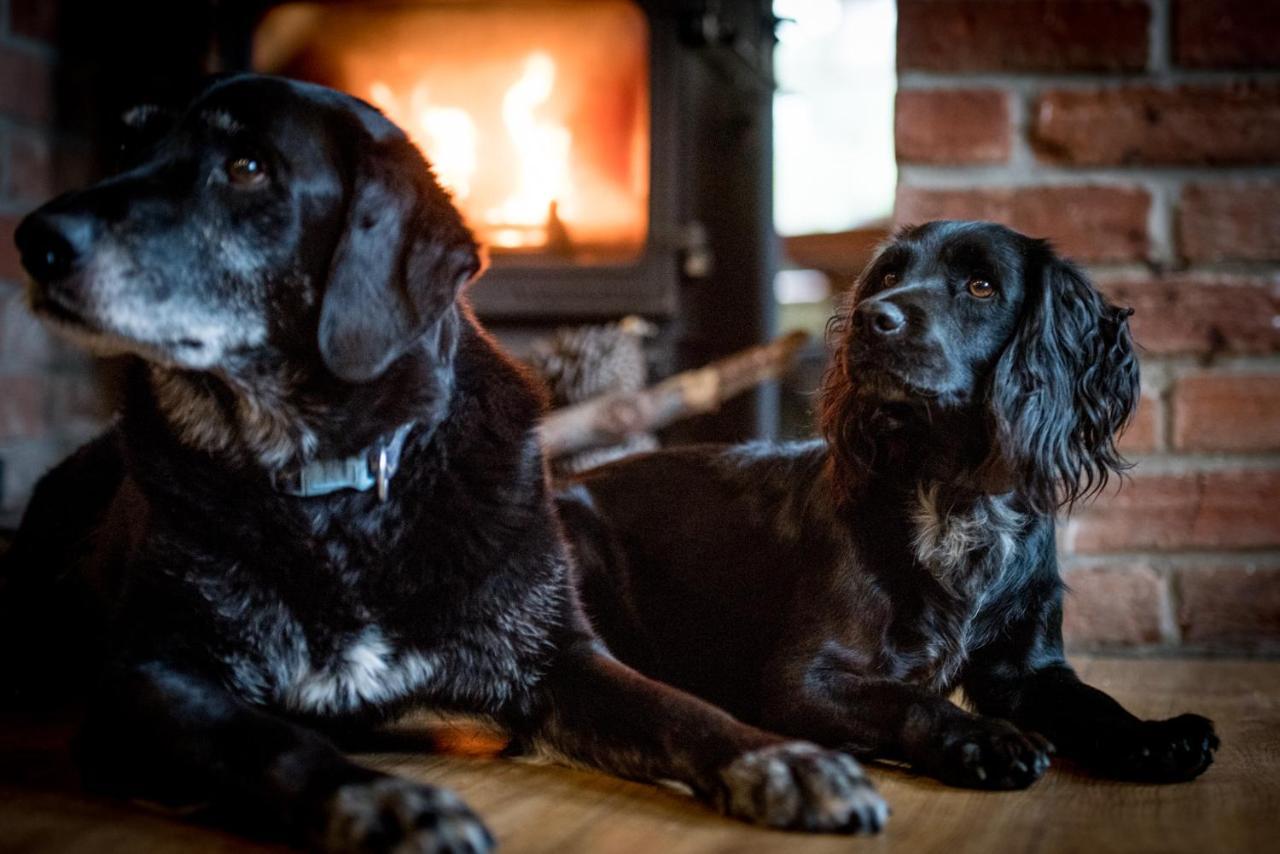 The Kings Arms Otterton Hotel Budleigh Salterton Luaran gambar